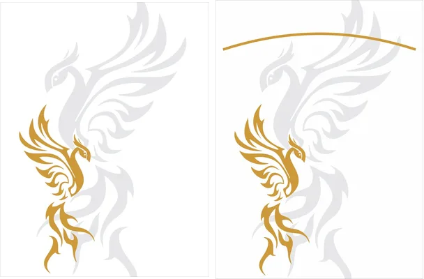 JERSEY ELEVEN FENIX 2025