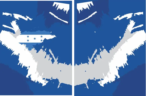 JERSEY HONDURAS GRUNGE