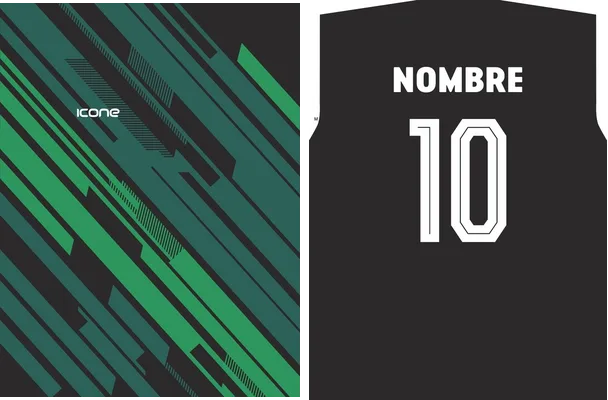 JERSEY ICONE FRANJAS VERDE 2024