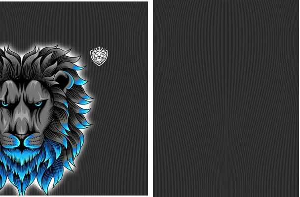 JERSEY INTERCLASSE LEÓN DEGRADADO