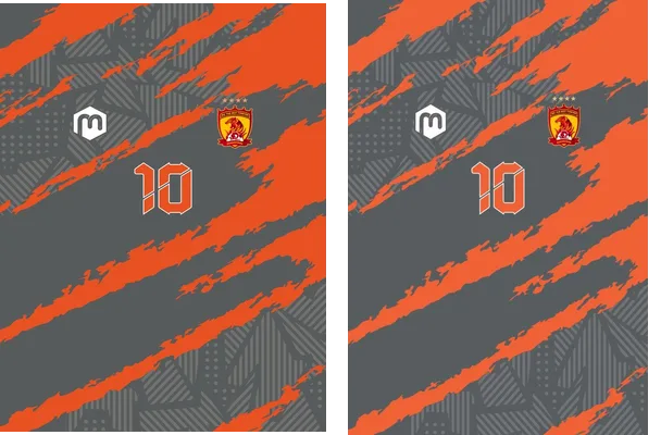 JERSEY ROY 02