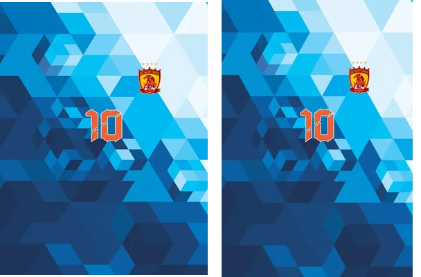 JERSEY ROY 06