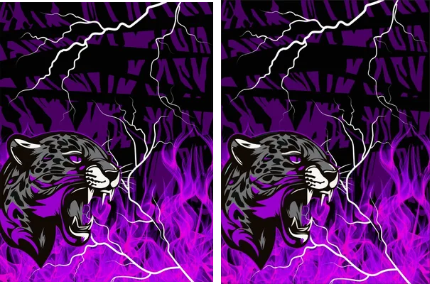 Jaguar Fuego Morado Interclasse 24 PRO