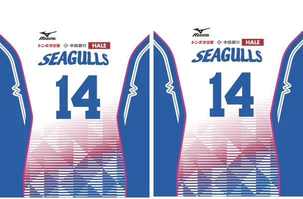 Japan Volleyball Design