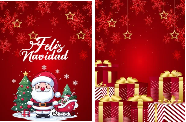 Jersey 2 Navidad 24