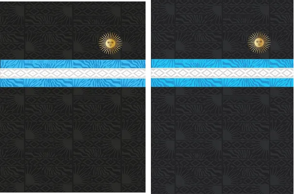 Jersey Argentina Texture