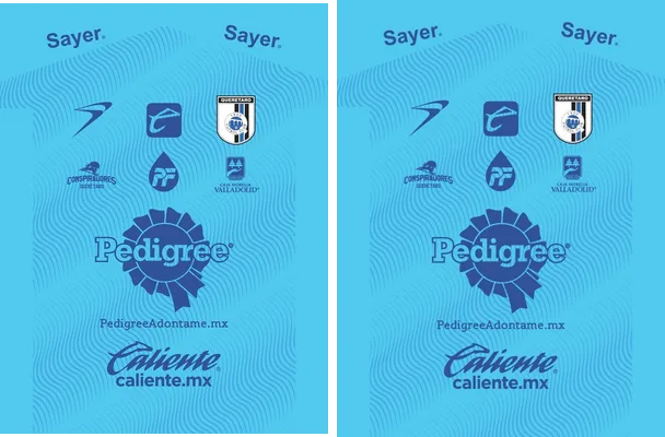 Jersey Arquero Queretaro