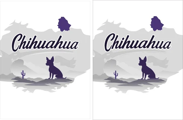 Jersey Beisbol Chihuahua