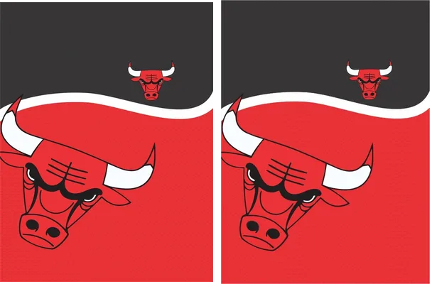 Jersey Bulls