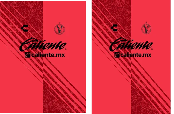 Jersey Chivas Puma 2024 25 Arquero