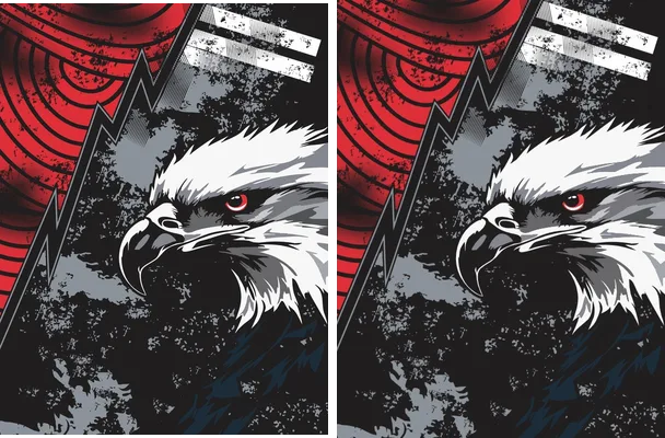 Jersey Eagle Grunge