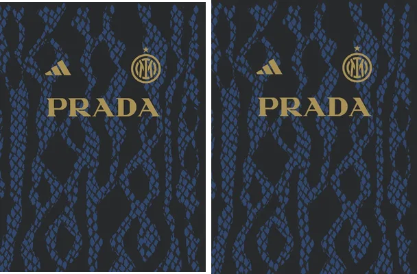 Jersey Inter de Milan Concept