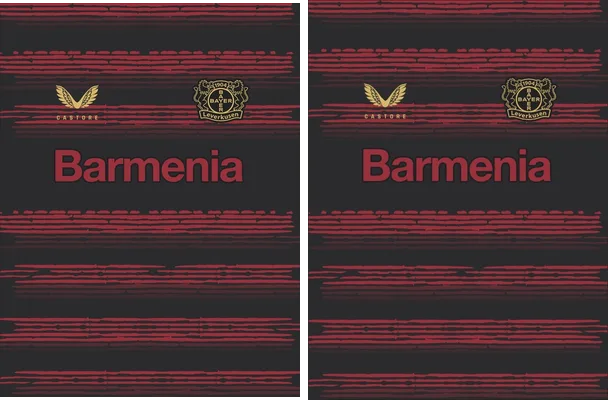Jersey Leverkusen Roja Plomo
