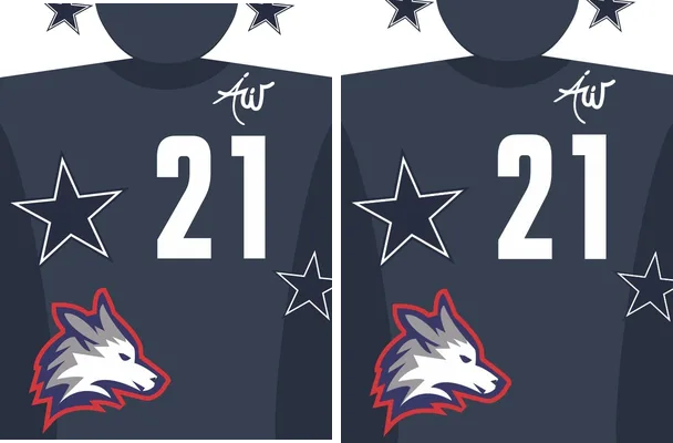 Jersey Lobo Azul