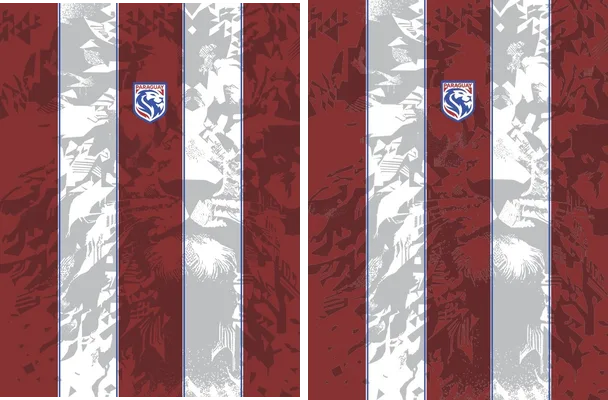 Jersey Paraguay Concept Leon