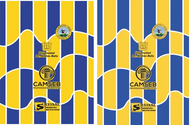 Jersey Santa Rosa de Lima