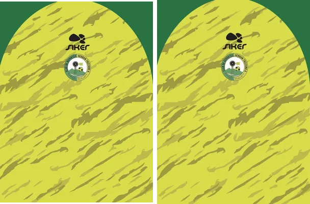 Jersey Sports Amarillo Verde
