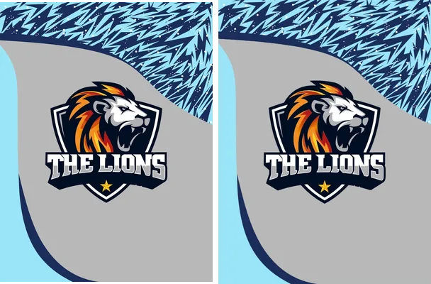 Jersey The Lions