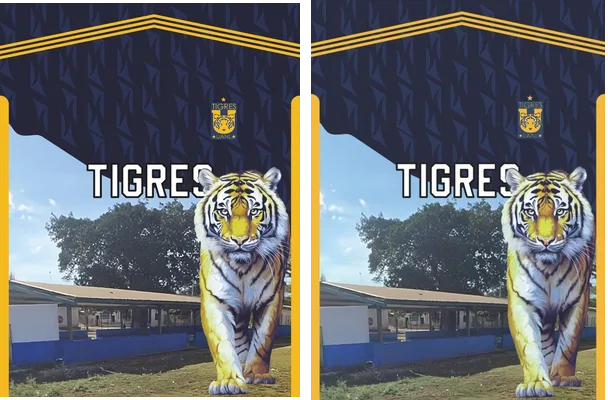 Jersey Tigres