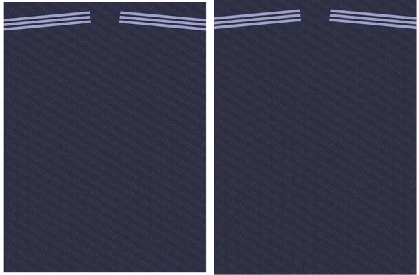 Juventus 2024 2025 Third