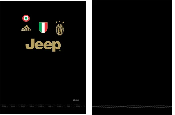 Juventus Alternativa 2015 2016
