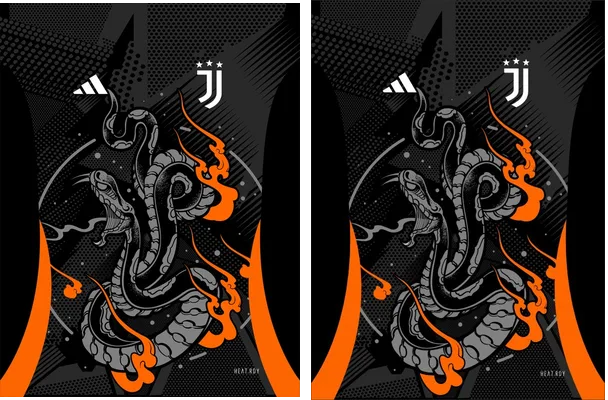 Juventus Concept 24