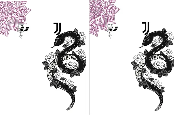 Juventus JJ Snake Concept