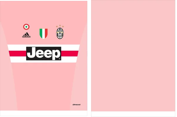 Juventus Visita 2015 2016