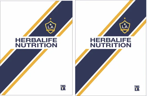 LA GALAXY HOME KIT 2018 19