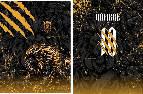 LEÓN DORADO INTERCLASSE 2