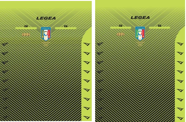 LEGEA 20 21 ARBITRO AIA