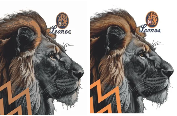 LEONES BEISBOL DESIGN
