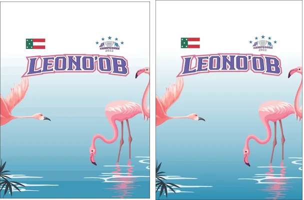 LEONES YUCATAN FLAMINGOS