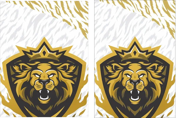 LION CONCEPT