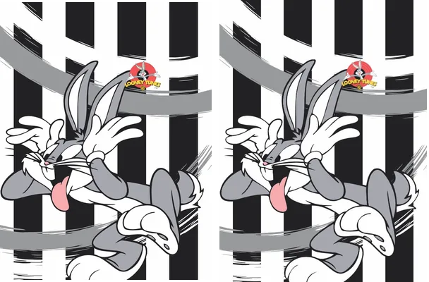 LOONEY TUNES DESIGN