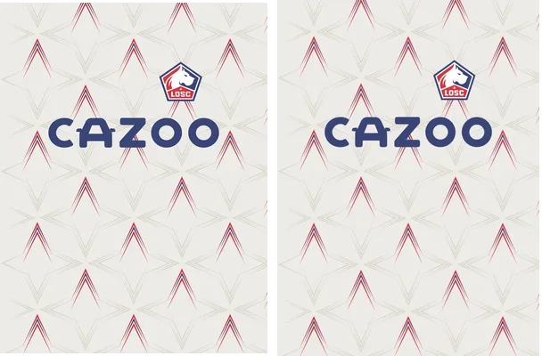 LOSC 22 23