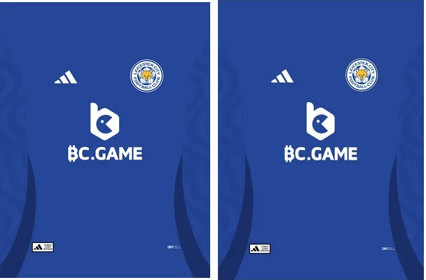 Leicester City Home 24 25 PRO