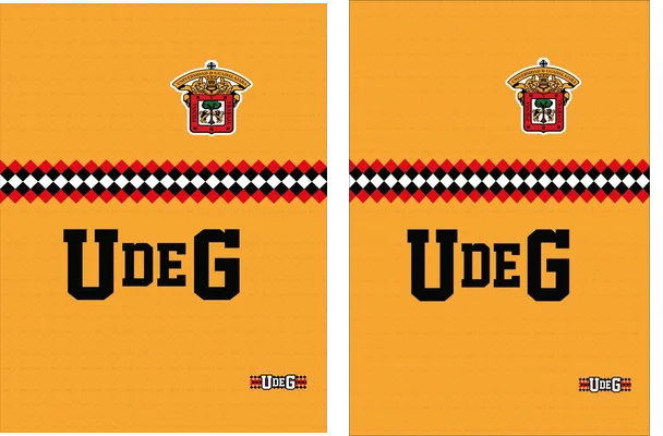 Leones Negros 23 24 Third