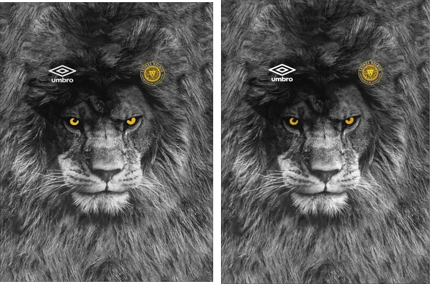 Leones Negros Concept Designs