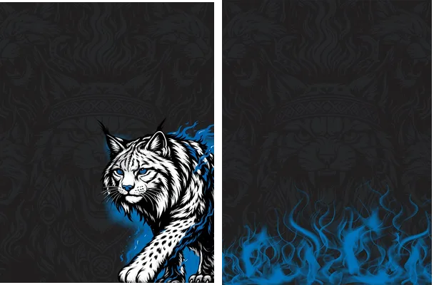Lince Azul Interclasse 25