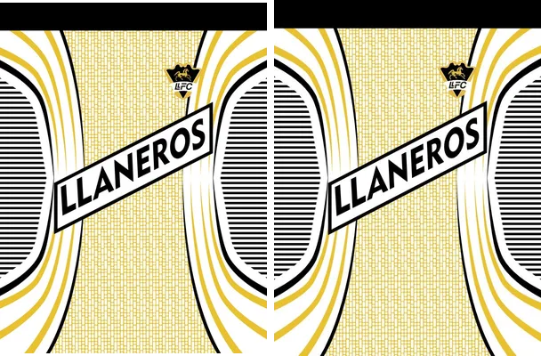 Llaneros FC 2020