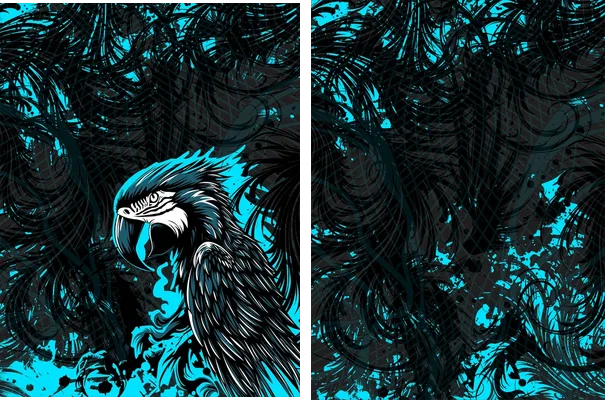 Loro Celeste Interclasse VS26