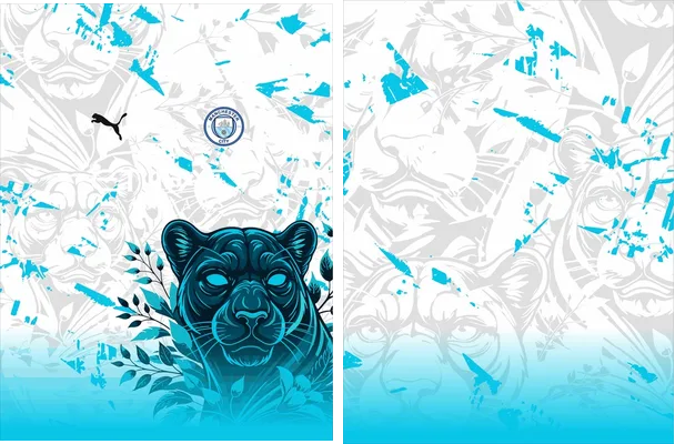 MANCHESTER CITY PANTERA INTERCLASSE 2025