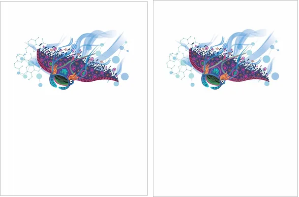 MANTARAYA COLORS DESIGN