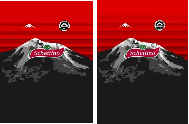 MONTANESES FC PINA CONCEPT