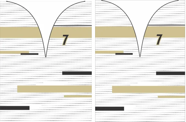 MS Sport Texture