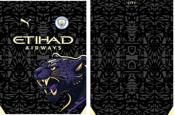 Manchester City Concept 2024 Q 4