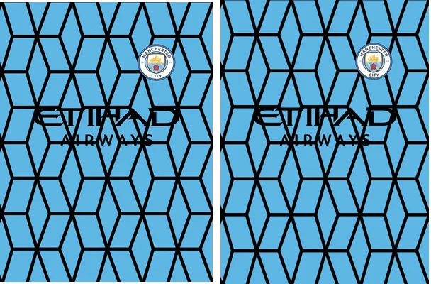 Manchester City Lines