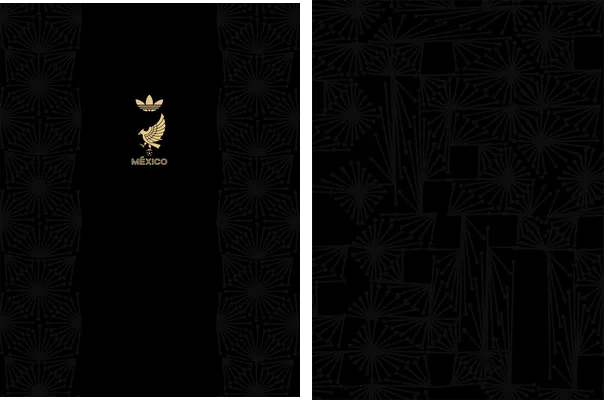 Mexico 25 Gold Cup Kit