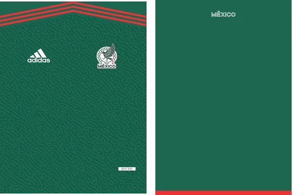 Mexico Local 2023 Concept